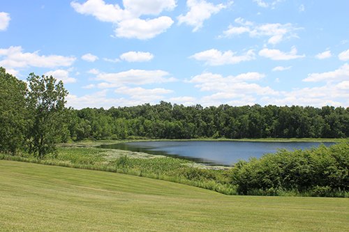 Property photo 100 - REAL ESTATE AUCTION, 163+/- Acres offered in 8 Tracts